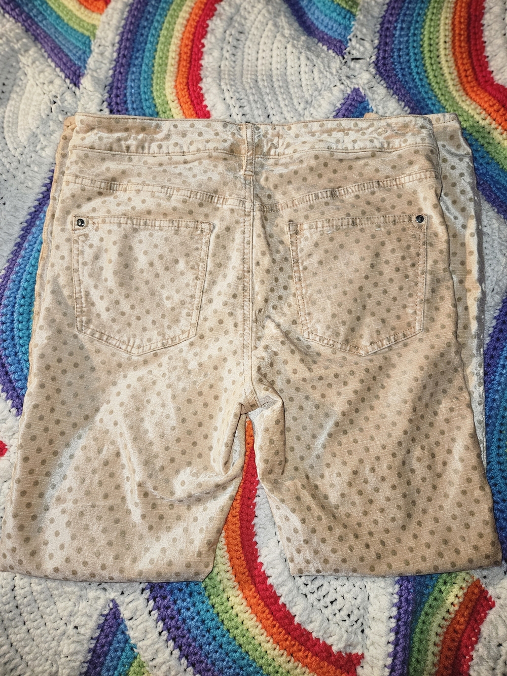 Pilcro and the Letterpress Beige Polka Dot Skinny Jeans - Picture 7 of 8